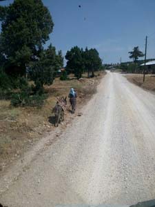 Adana Saimbeyli Eyüplü Köyü Resimleri 7