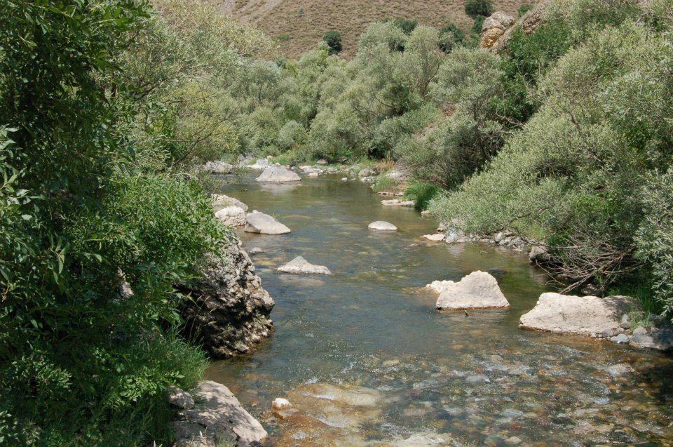 Tercan Ağören Köyü Resimleri 3