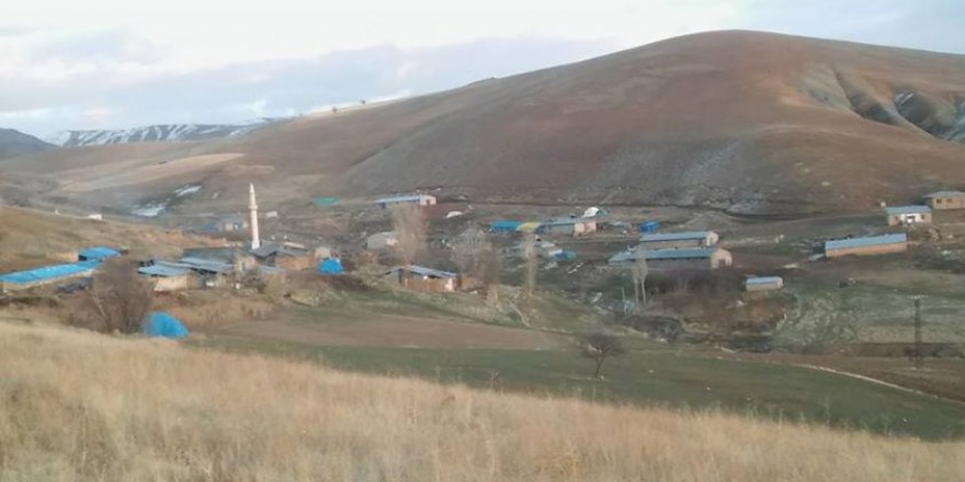 Tercan Aktaş Köyü Resimleri