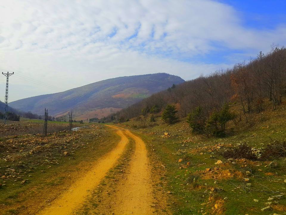Türkoğlu Kaledibi Köyü Resimleri 11
