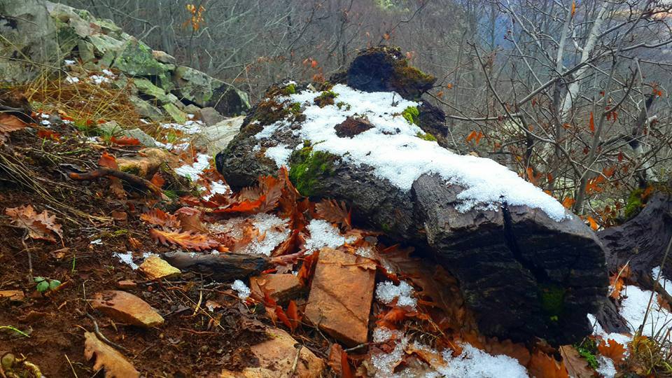 Türkoğlu Kaledibi Köyü Resimleri 2