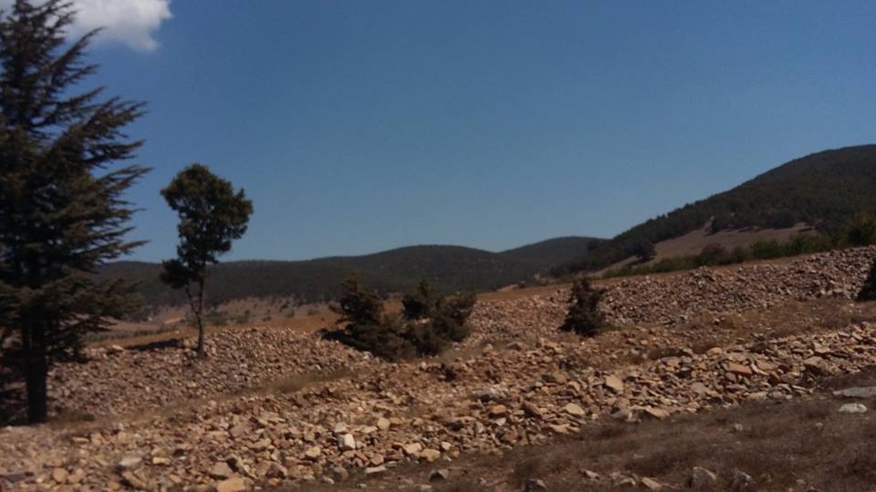 Türkoğlu Kaledibi Köyü Resimleri 3