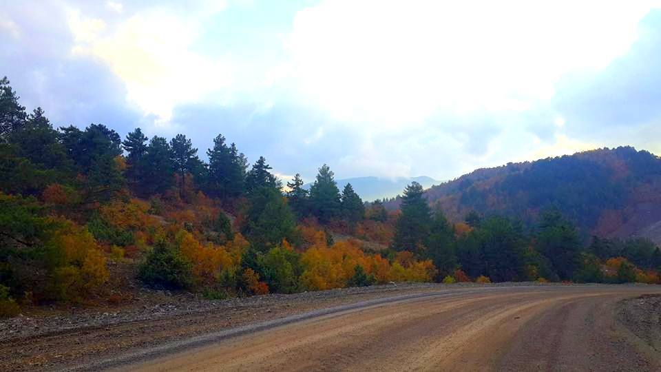 Türkoğlu Kaledibi Köyü Resimleri 5