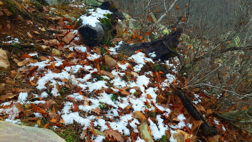 Türkoğlu Kaledibi Köyü Resimleri 7