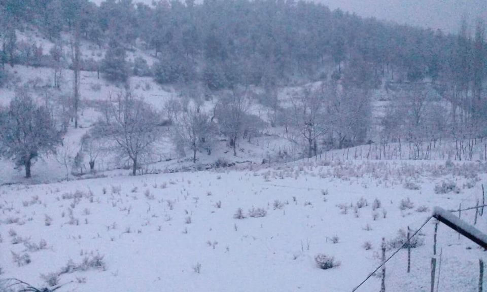 Türkoğlu Kırmakaya Köyü Resimleri 11