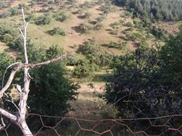 Türkoğlu Kızıleniş Köyü Resimleri 1