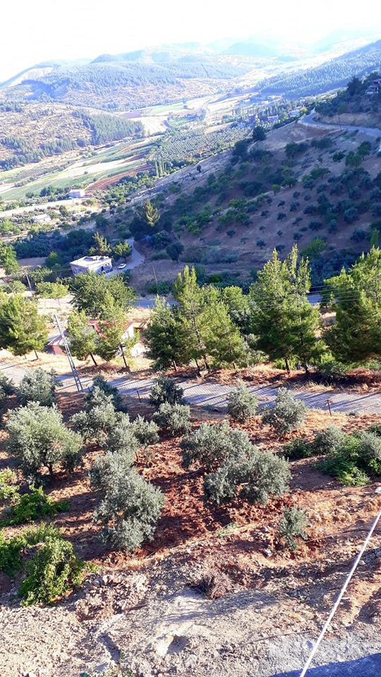 Türkoğlu Kızıleniş Köyü Resimleri 11