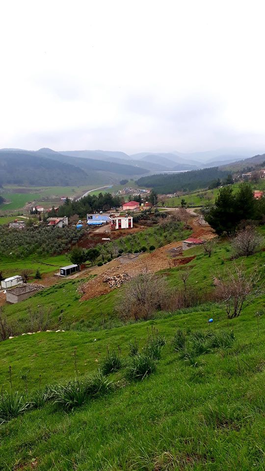 Türkoğlu Kızıleniş Köyü Resimleri 7