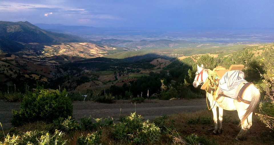 Türkoğlu Kızıleniş Köyü Resimleri 8