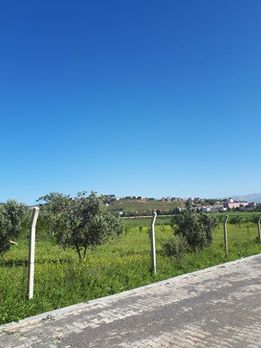 Türkoğlu Kılılı Köyü Resimleri 1