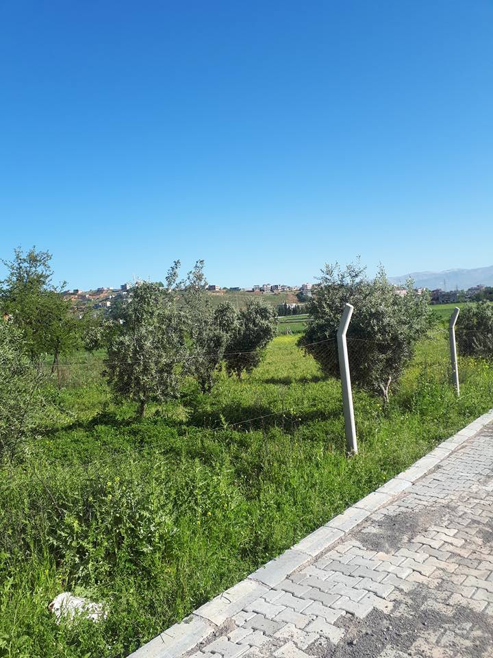 Türkoğlu Kılılı Köyü Resimleri 3