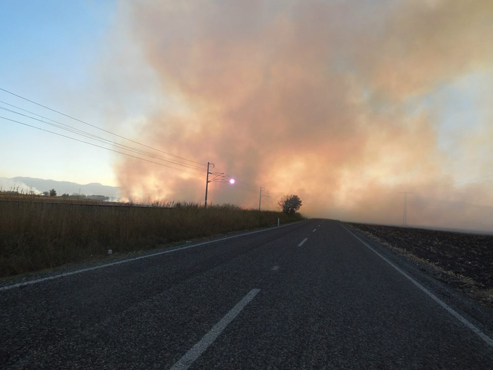 Türkoğlu Kumçatı Köyü Resimleri 11
