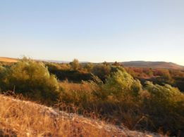 Türkoğlu Kumçatı Köyü Resimleri 4