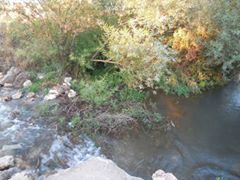 Türkoğlu Kumçatı Köyü Resimleri 5