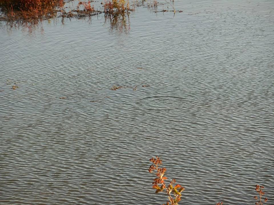 Türkoğlu Kumçatı Köyü Resimleri 9