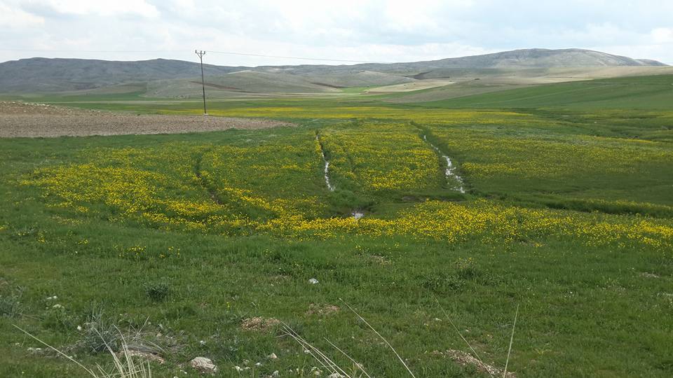 Gürün Akpınar Köyü Resimleri 8