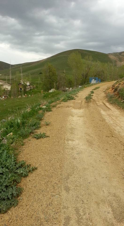 Tercan Altınkaya Köyü Resimleri 12