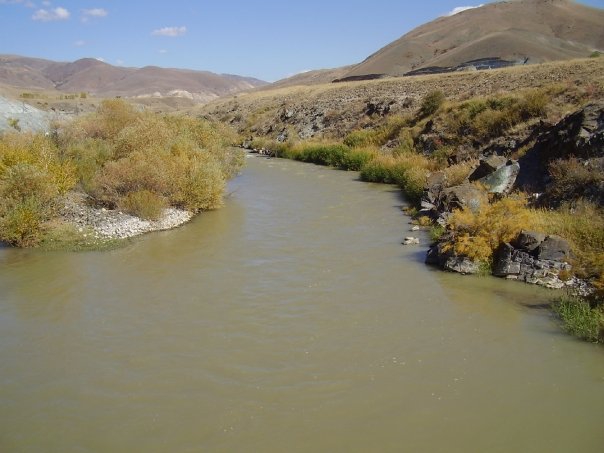 Tercan Altınkaya Köyü Resimleri 4