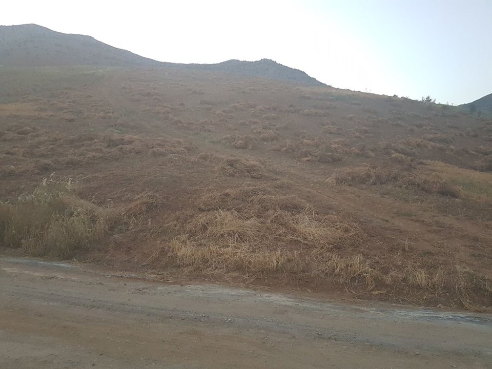 Türkoğlu Küçükimalı Köyü Resimleri 11