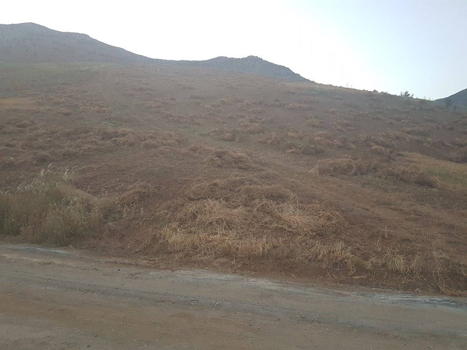 Türkoğlu Küçükimalı Köyü Resimleri 5