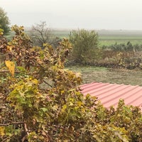 Türkoğlu Minehüyük Köyü Resimleri 10