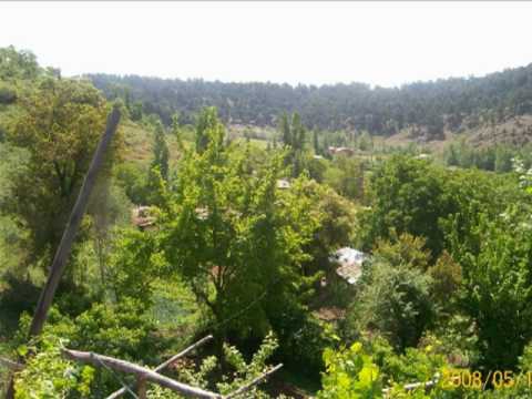 Türkoğlu Minehüyük Köyü Resimleri 2