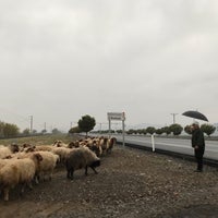 Türkoğlu Minehüyük Köyü Resimleri 4