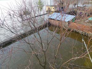 Türkoğlu Minehüyük Köyü Resimleri 5