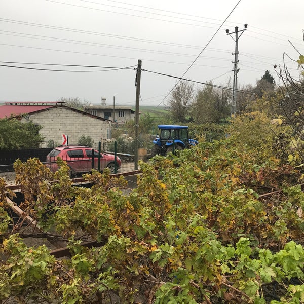 Türkoğlu Minehüyük Köyü Resimleri 7