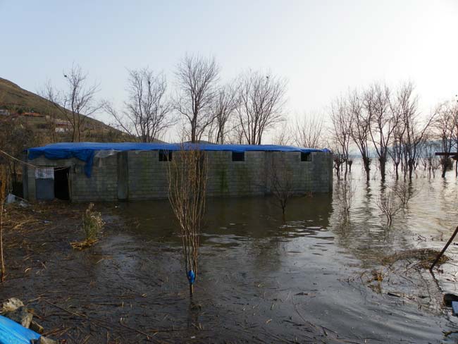 Türkoğlu Minehüyük Köyü Resimleri 9
