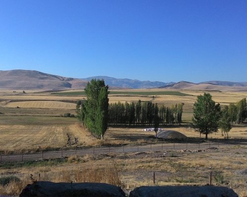 Tercan Bağpınar Köyü Resimleri 2