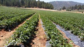 Türkoğlu Muratçakıroğlu  Köyü Resimleri 4