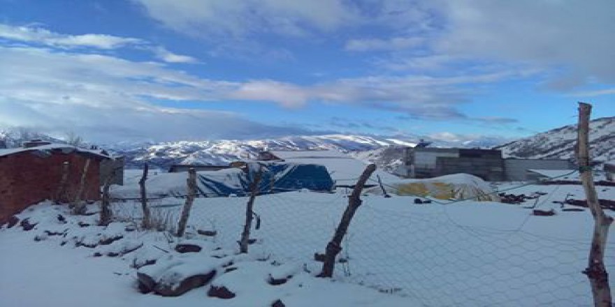 Tercan Başbudak Köyü Resimleri