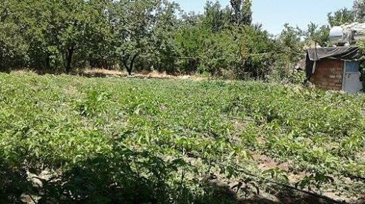 Ergani Gözekaya Köyü Resimleri 2