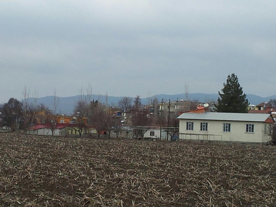 Türkoğlu Pınarhüyük Köyü Resimleri 5