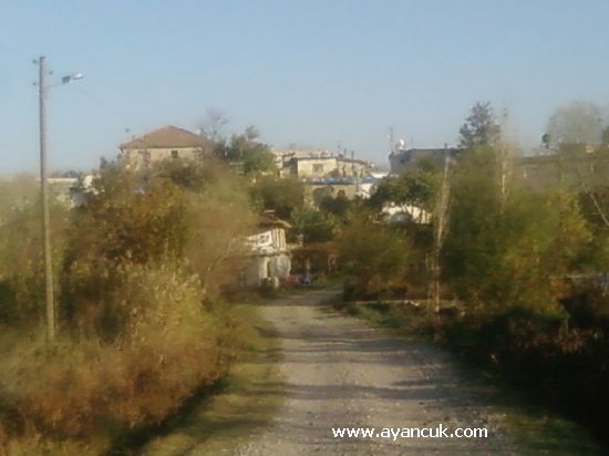 Türkoğlu Pınarhüyük Köyü Resimleri 7