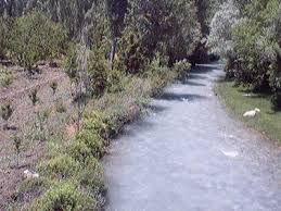 Türkoğlu Pınarhüyük Köyü Resimleri 8