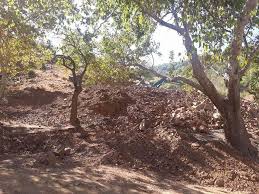 Türkoğlu Tahtalıdedeler Köyü Resimleri 10