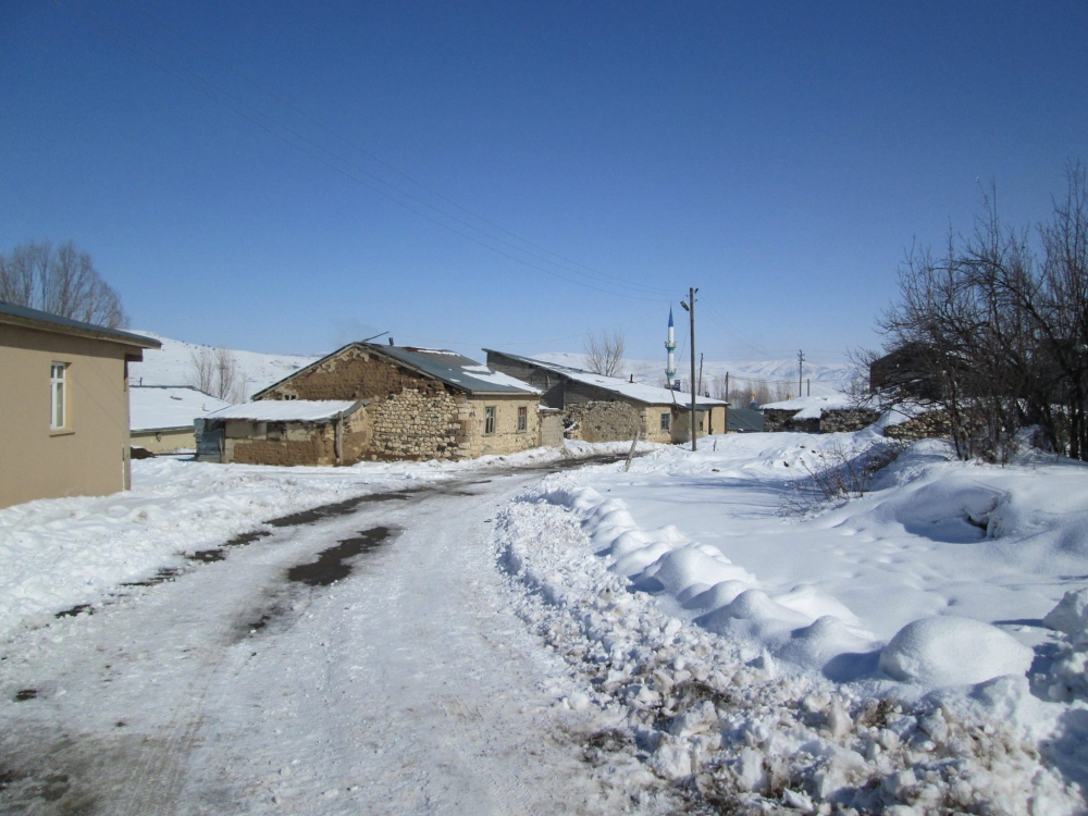 Tercan Beşgöze Köyü Resimleri 12