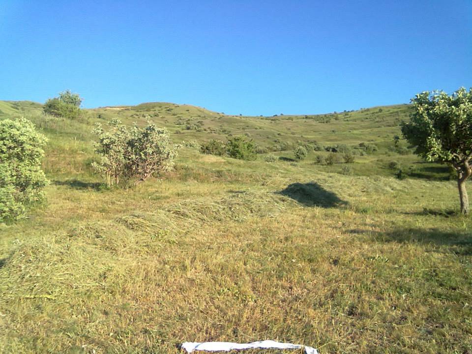 Tercan Beşgöze Köyü Resimleri 4