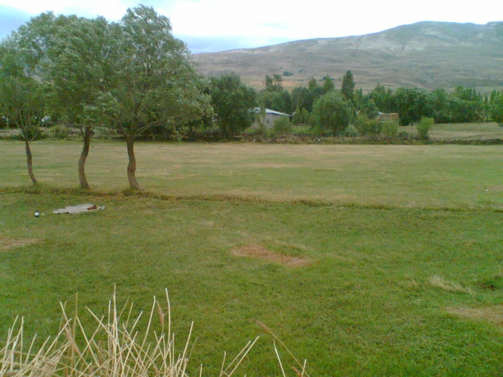 Tercan Beşgöze Köyü Resimleri 7