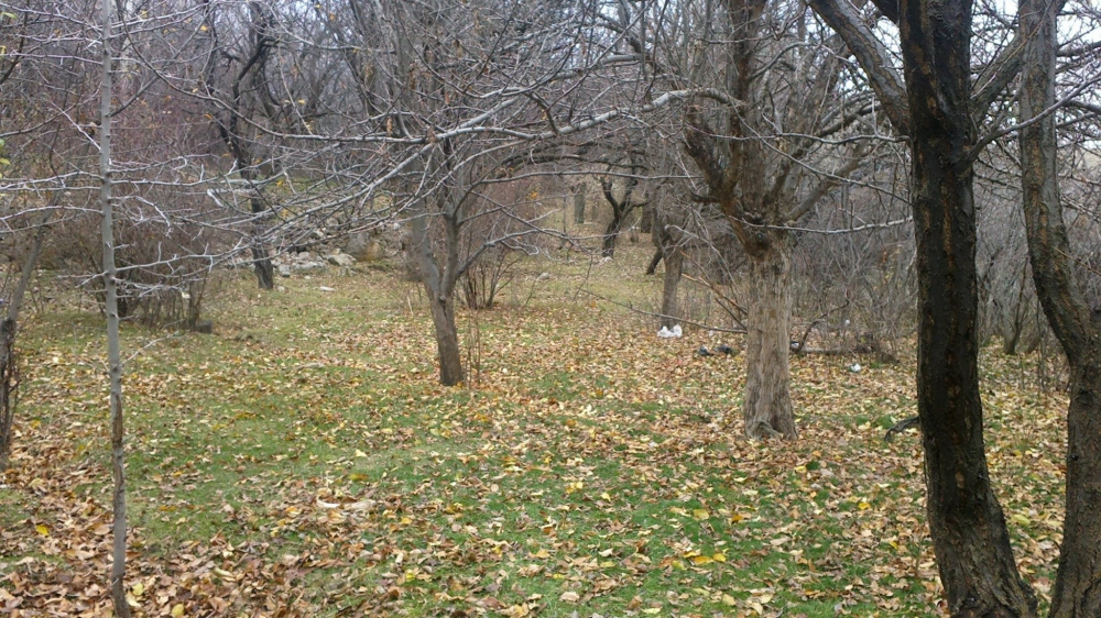 Tercan Beşkaya Köyü Resimleri 7