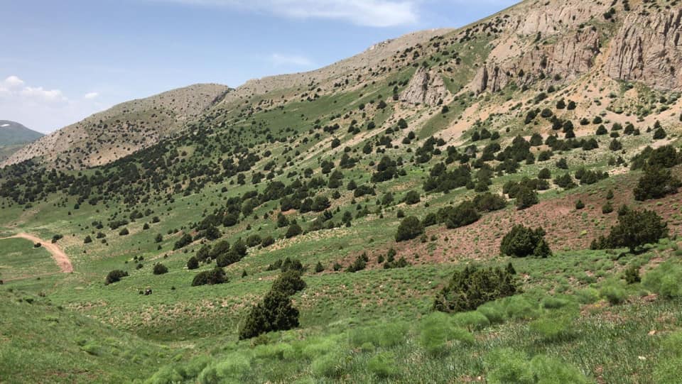 Tercan Beykonak Köyü Resimleri 1