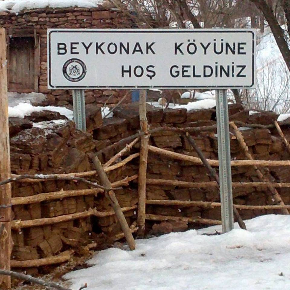 Tercan Beykonak Köyü Resimleri 4