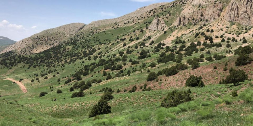 Tercan Beykonak Köyü Resimleri