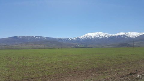 Tercan Bulmuş Köyü Resimleri 2