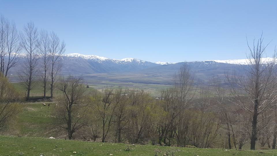 Tercan Bulmuş Köyü Resimleri 9