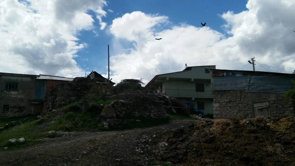 Tercan Büklümdere Köyü Resimleri 1