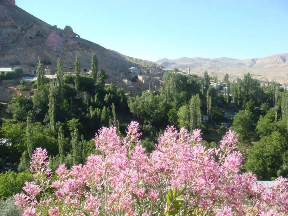 Gürün Bahçeiçi Köyü Resimleri 23