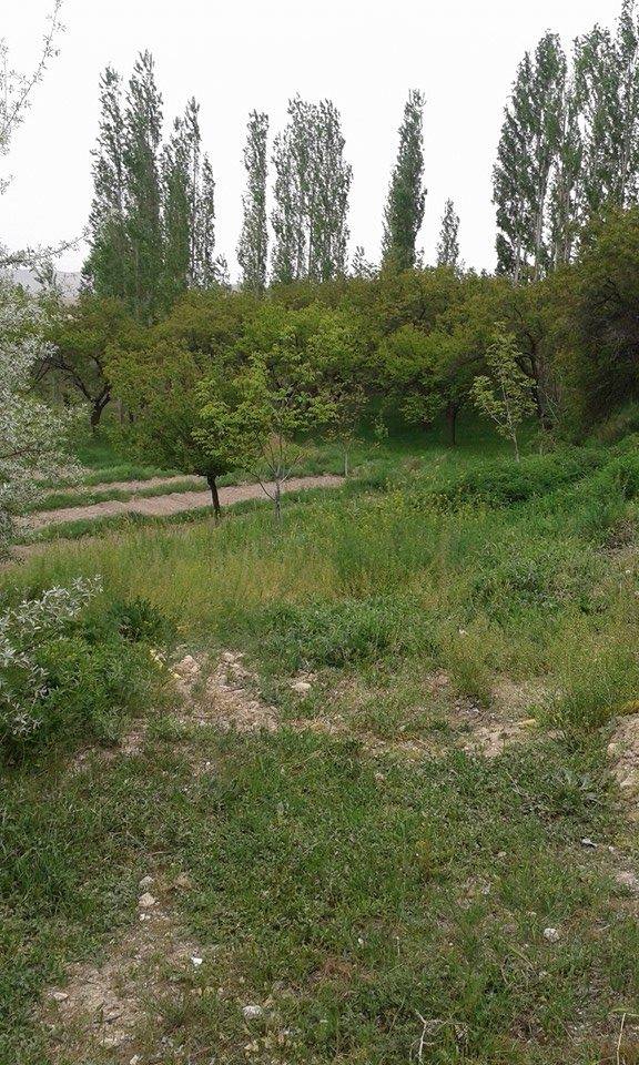 Gürün Bahçeiçi Köyü Resimleri 28